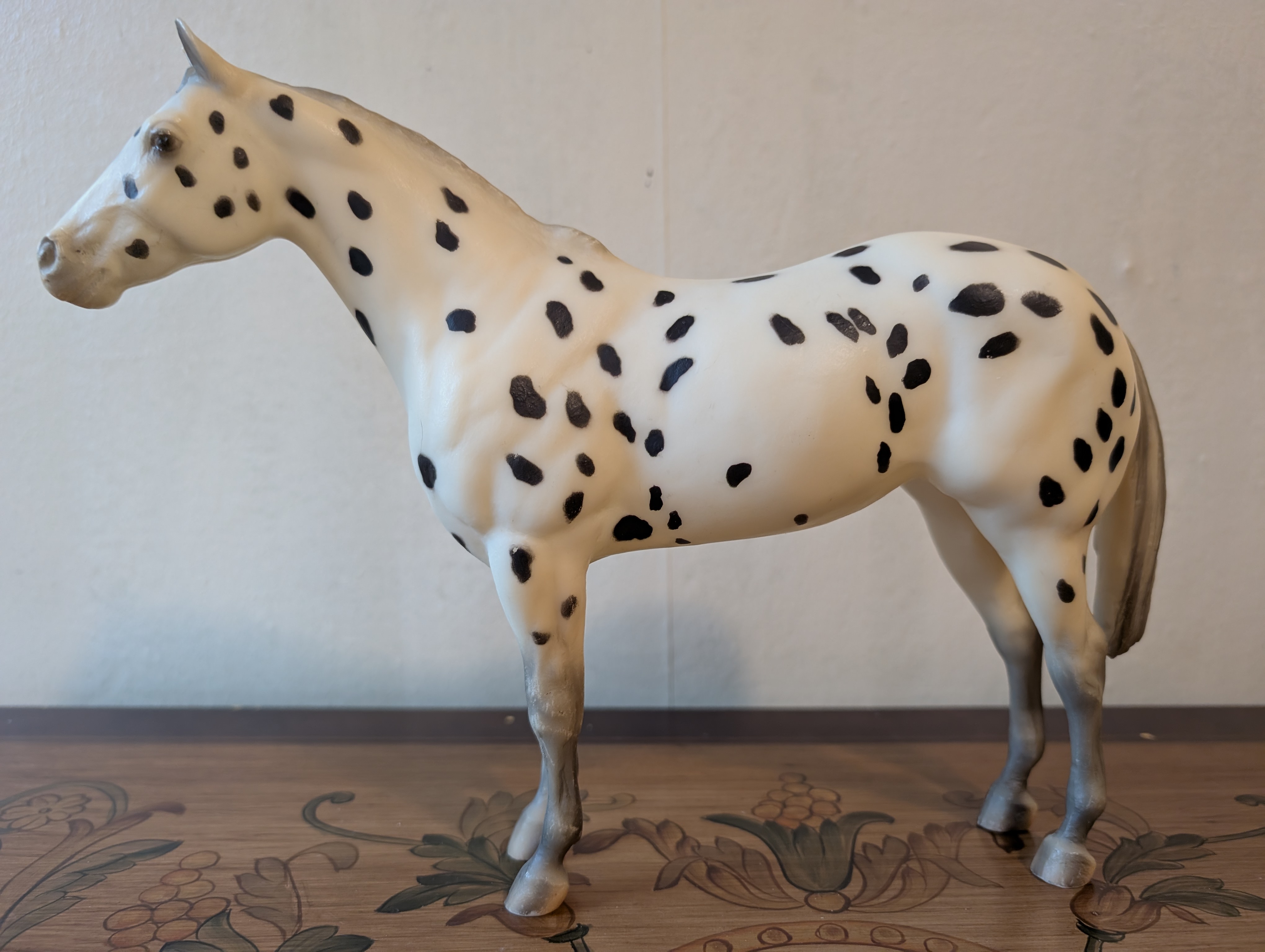 Family Appaloosa Mare