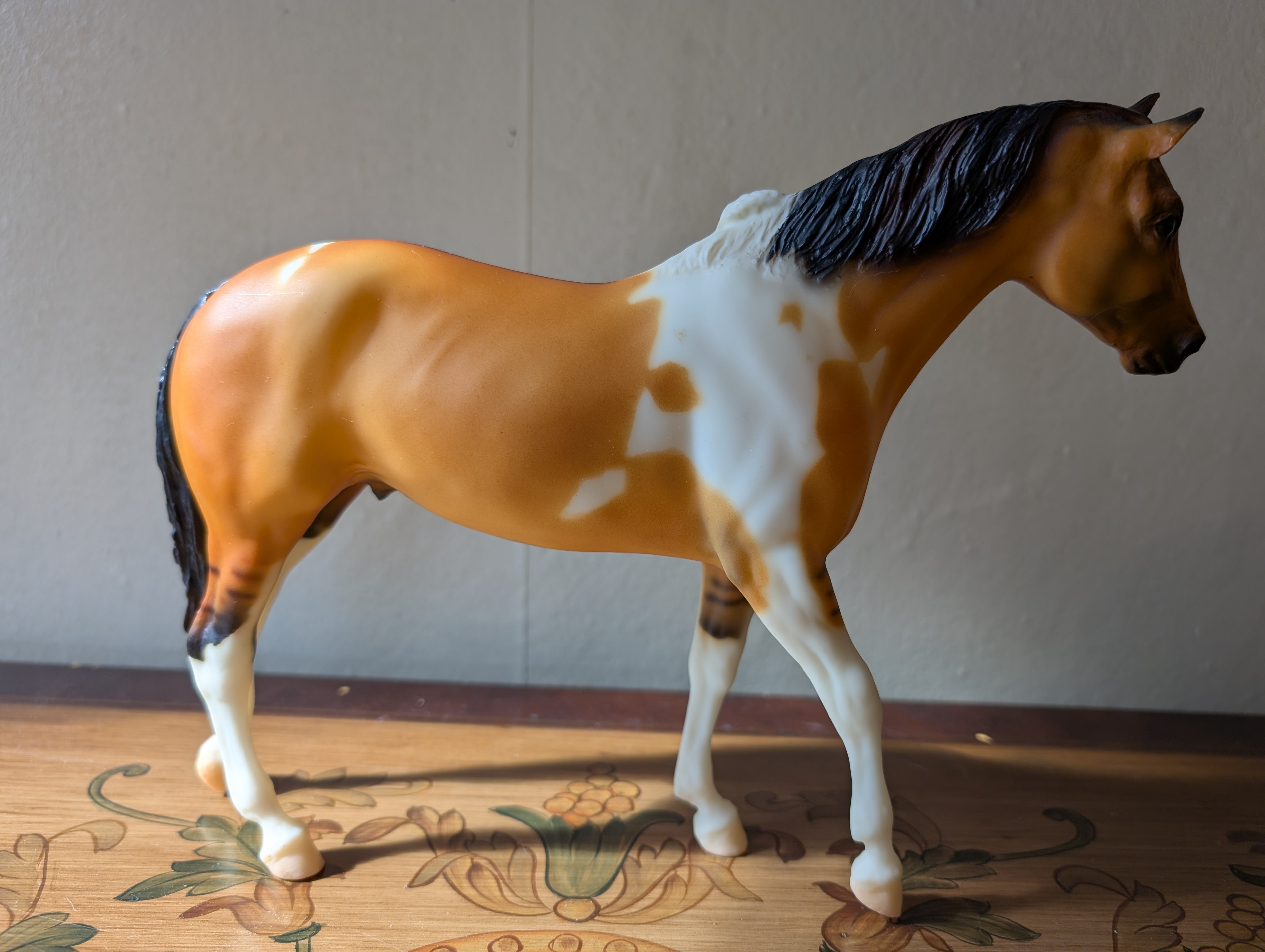 American Paint Horse