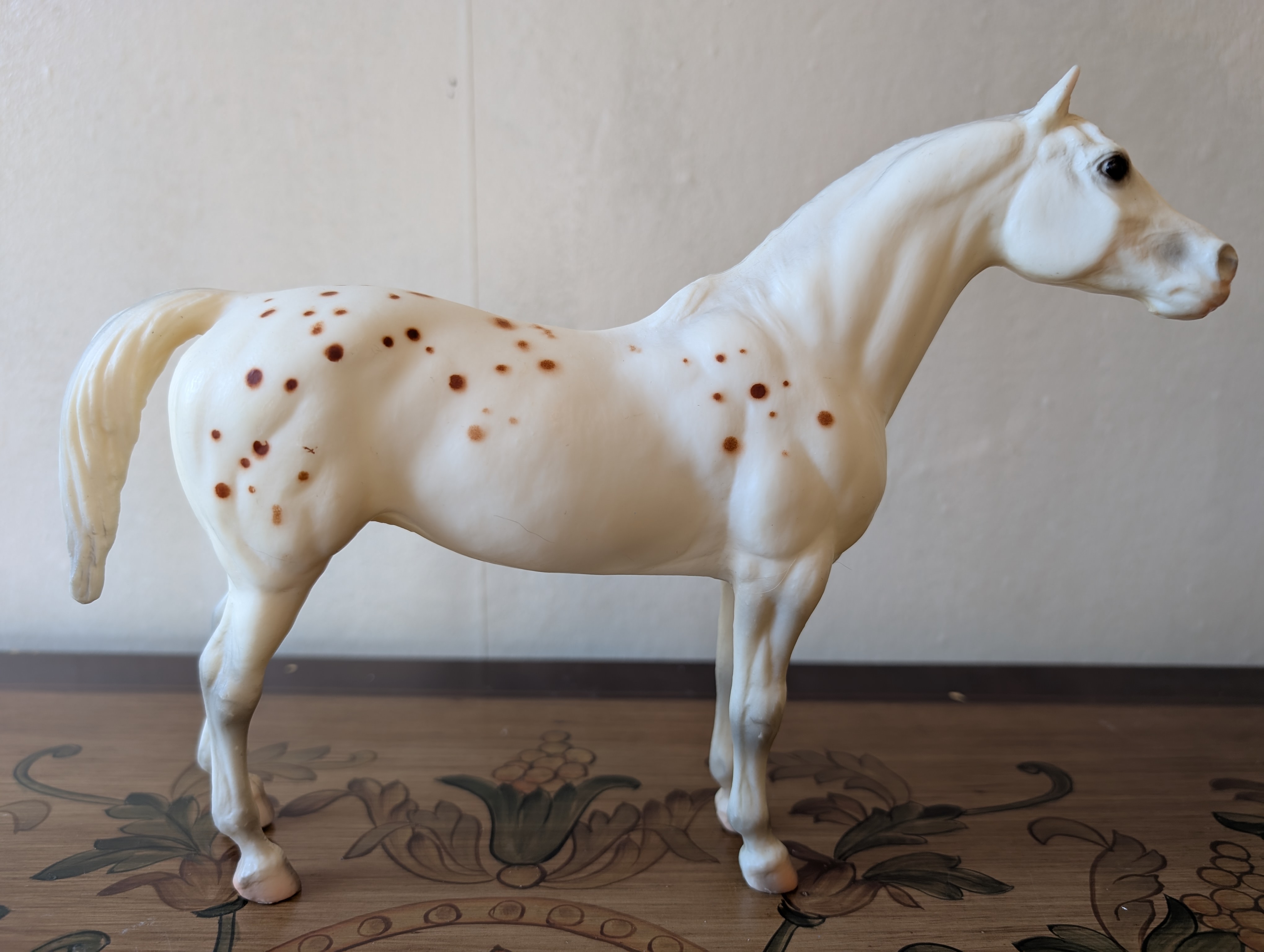 Pony of the Americas #2
