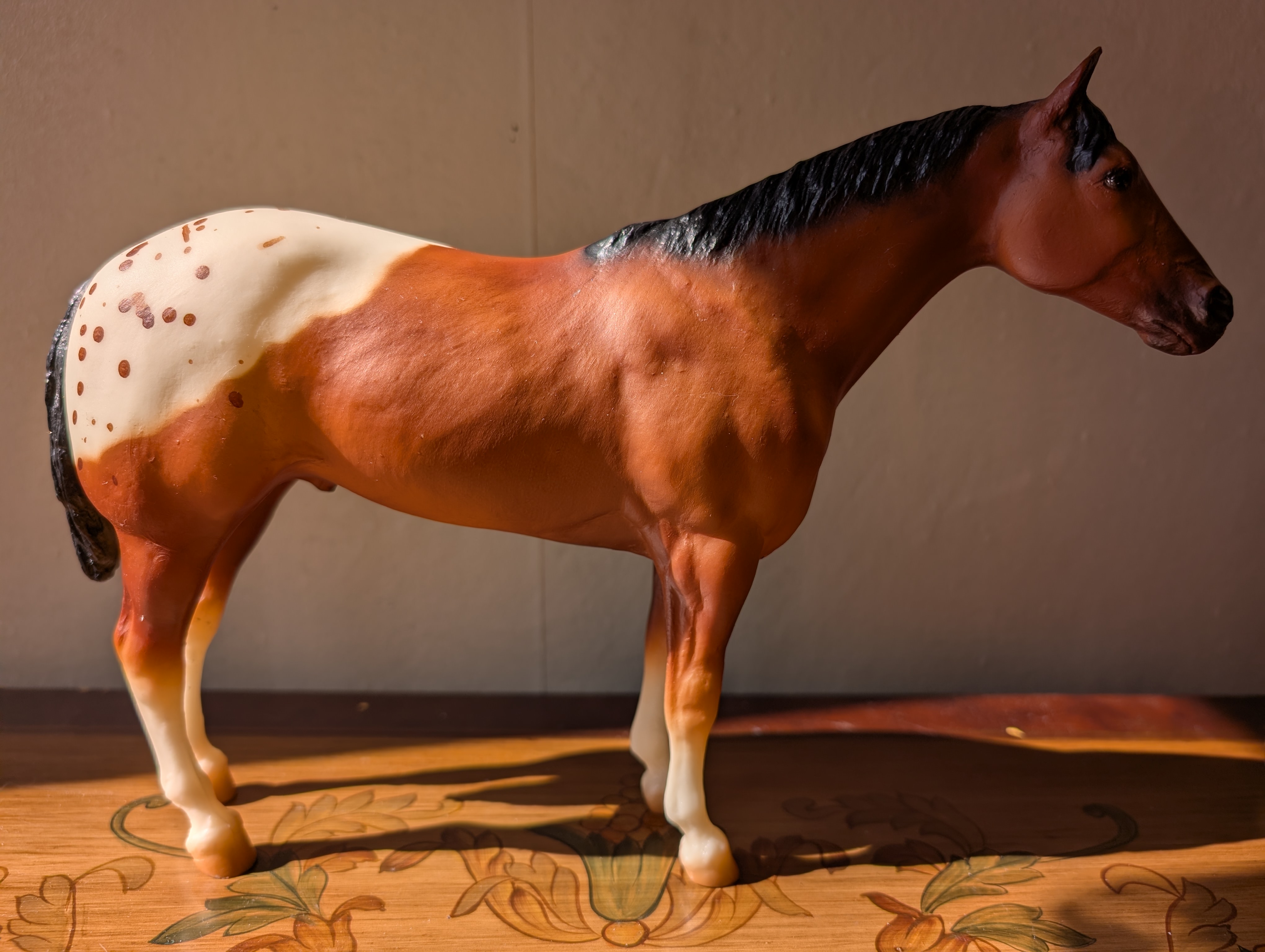 Blanket Appaloosa