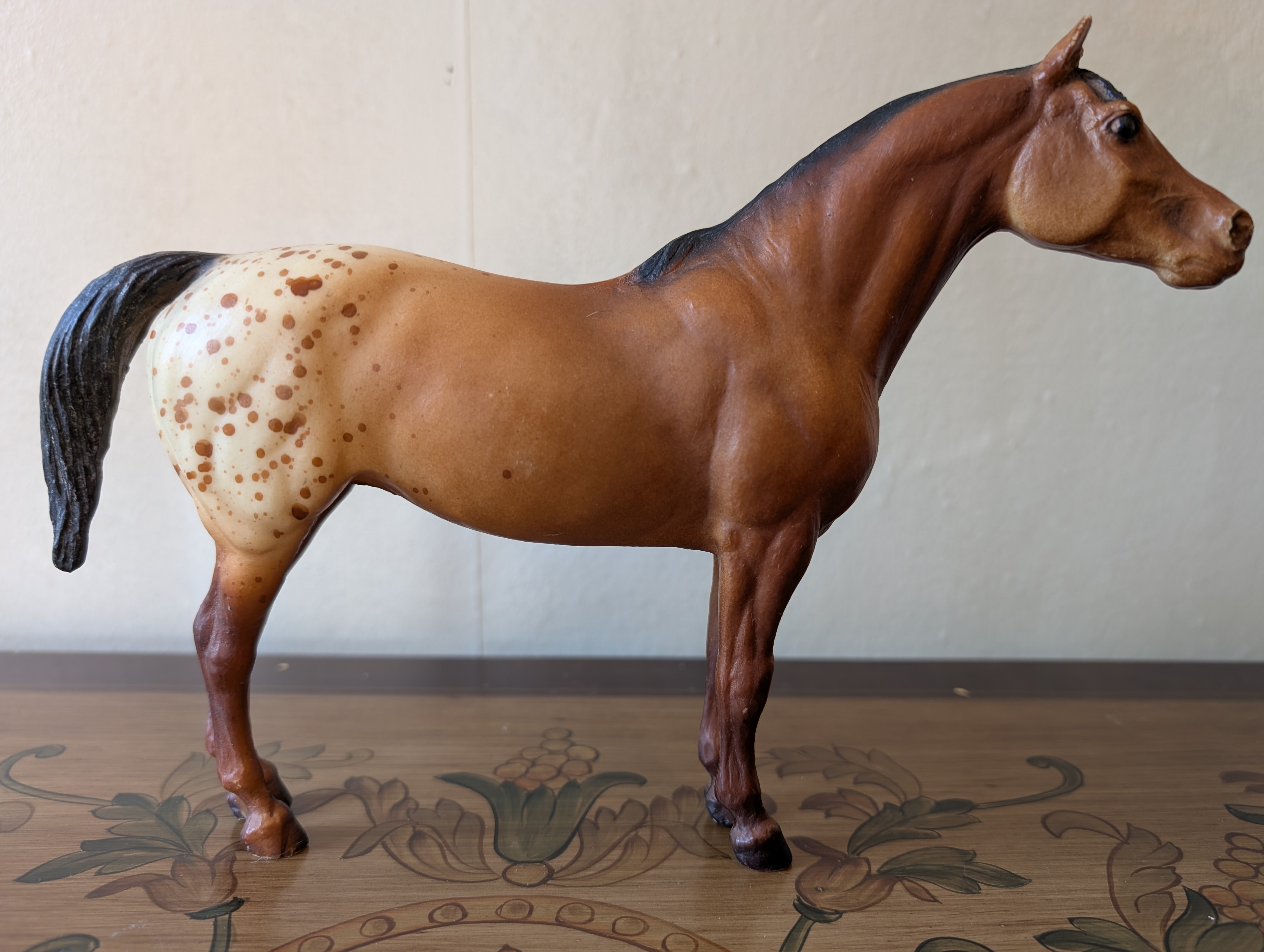 Pony of the Americas