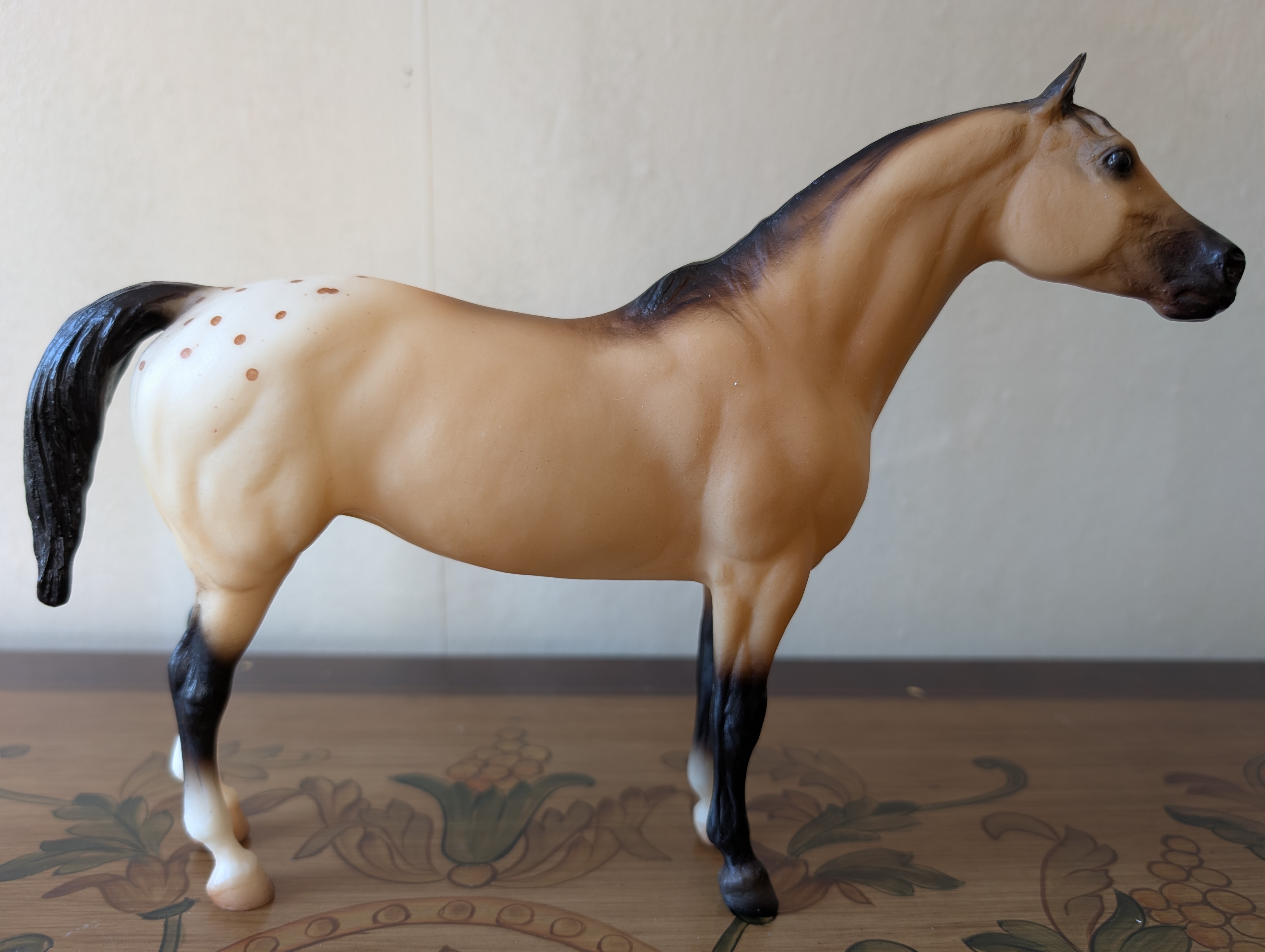 Pony of the Americas