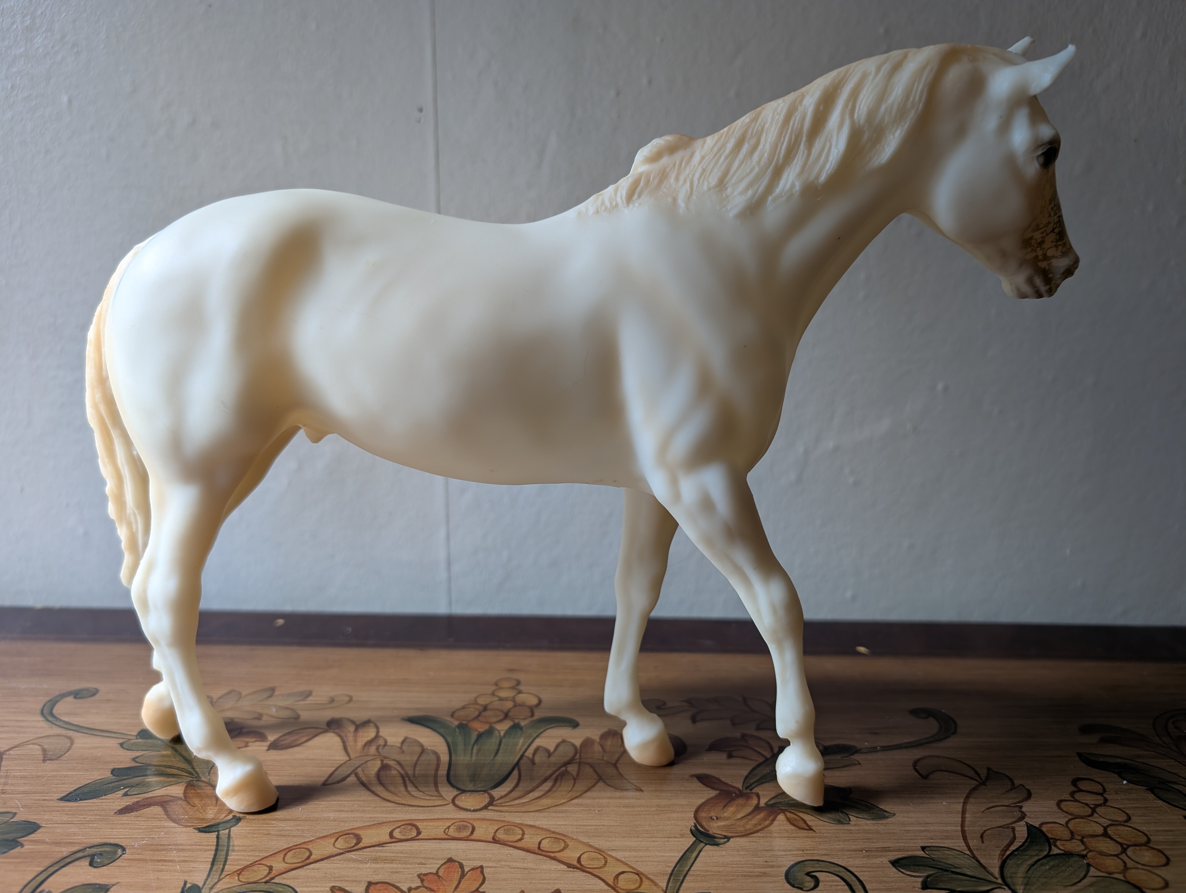 Oxydol Rodeo Appaloosa