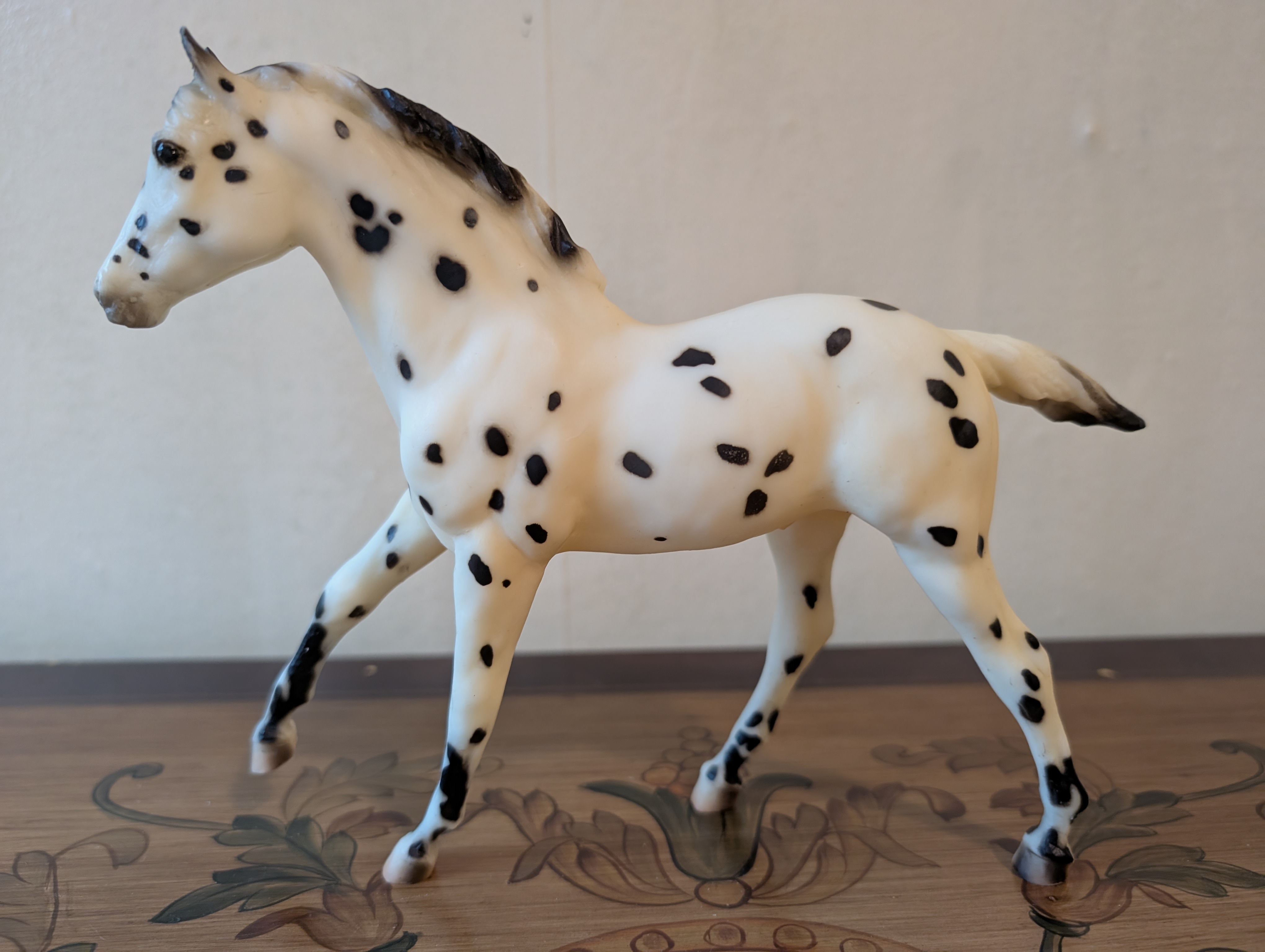 Appaloosa Foal, Leopard
