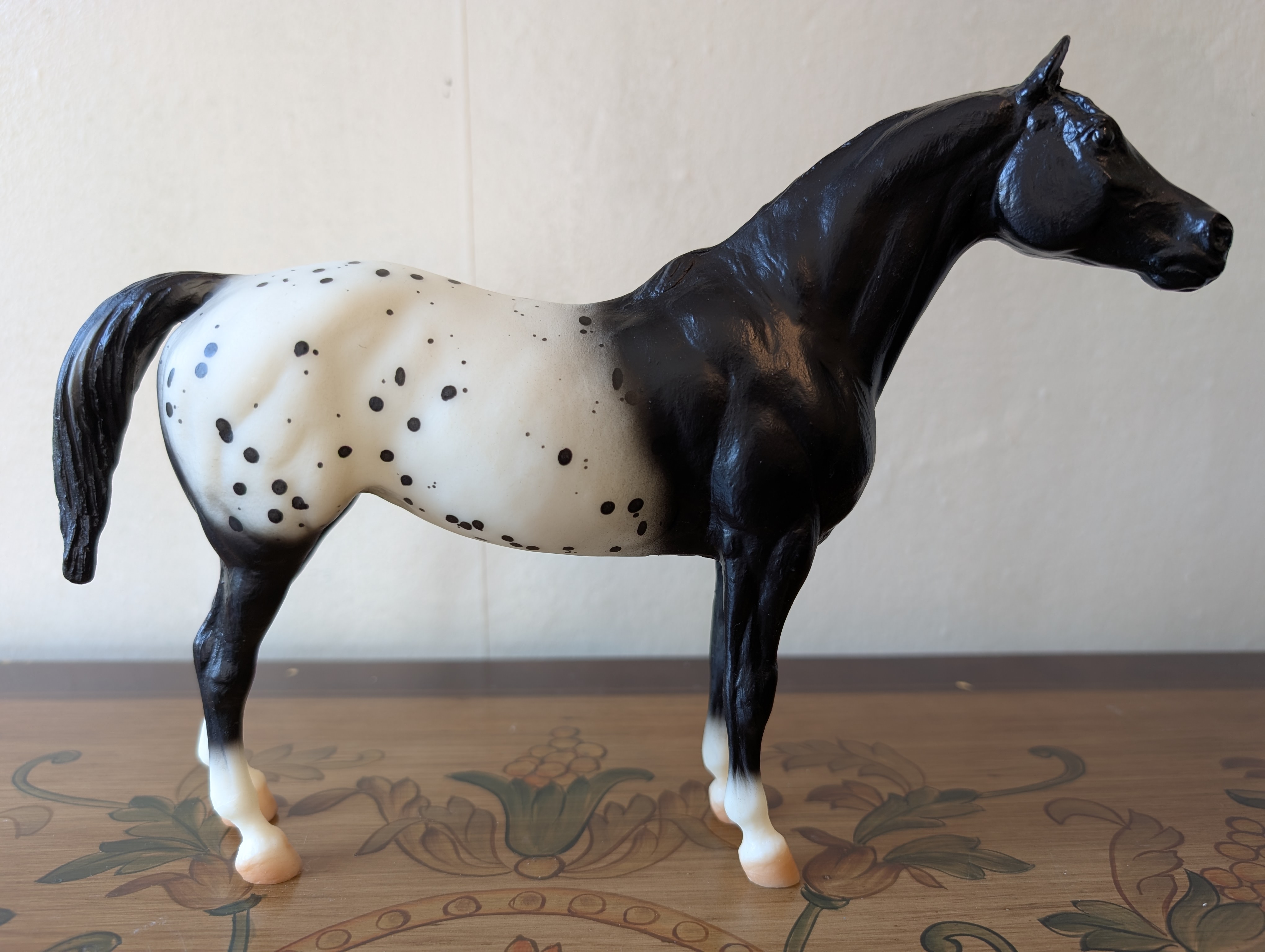 Pantomime - Pony of the Americas