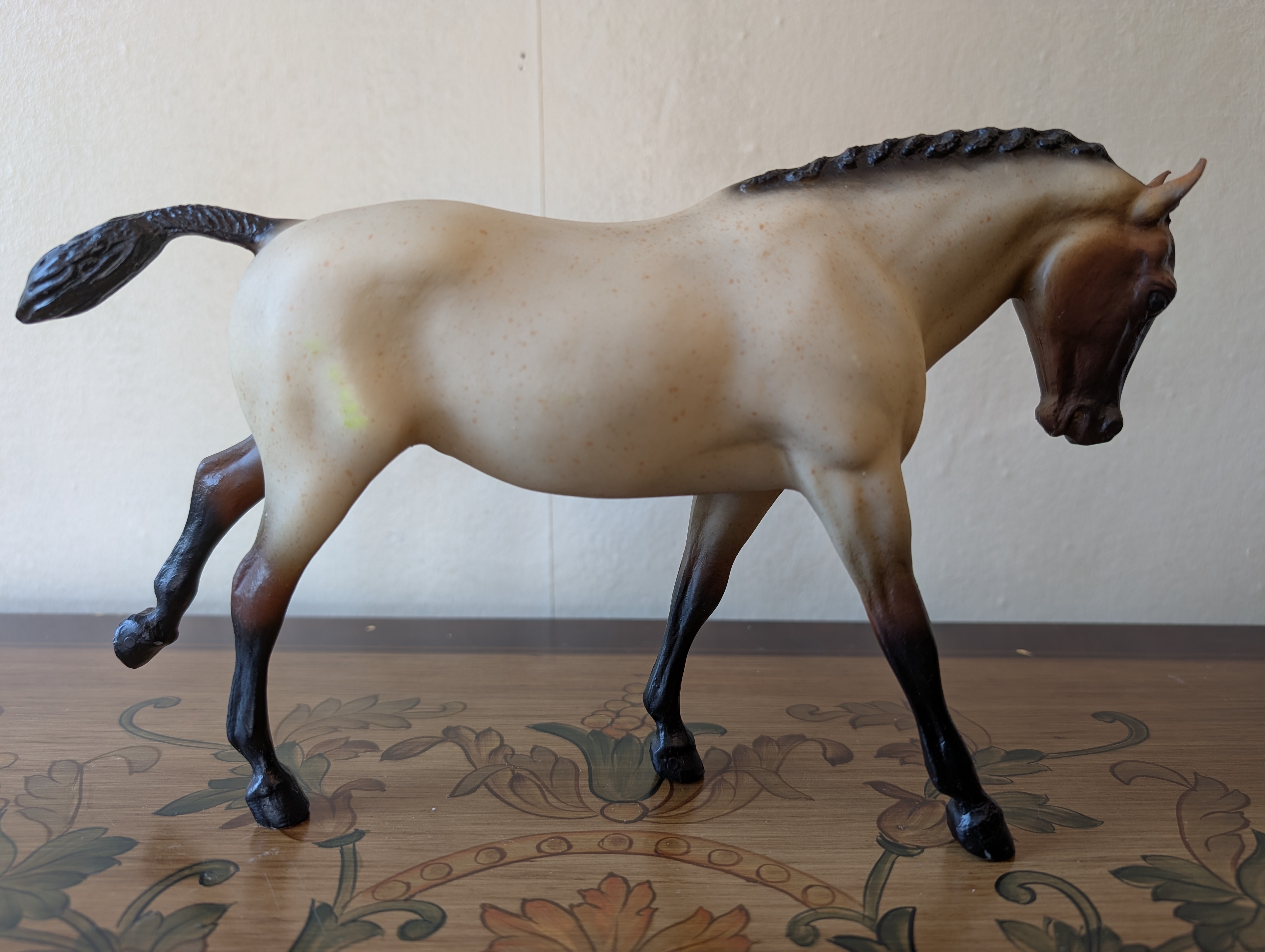 Parade of Horses Breeds With Proud Arabian Mare , Saddlebred Weanling