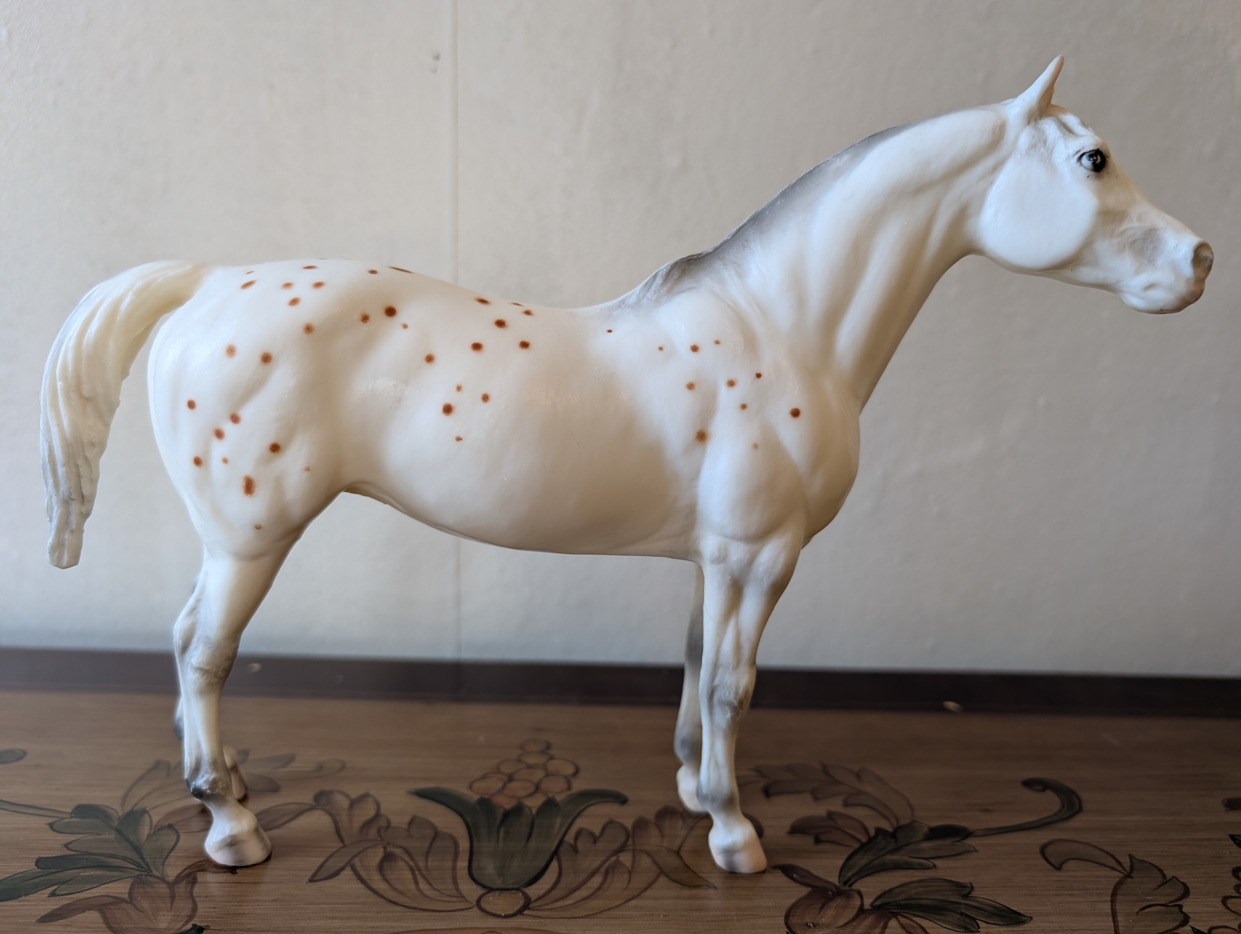Pony of the Americas #1