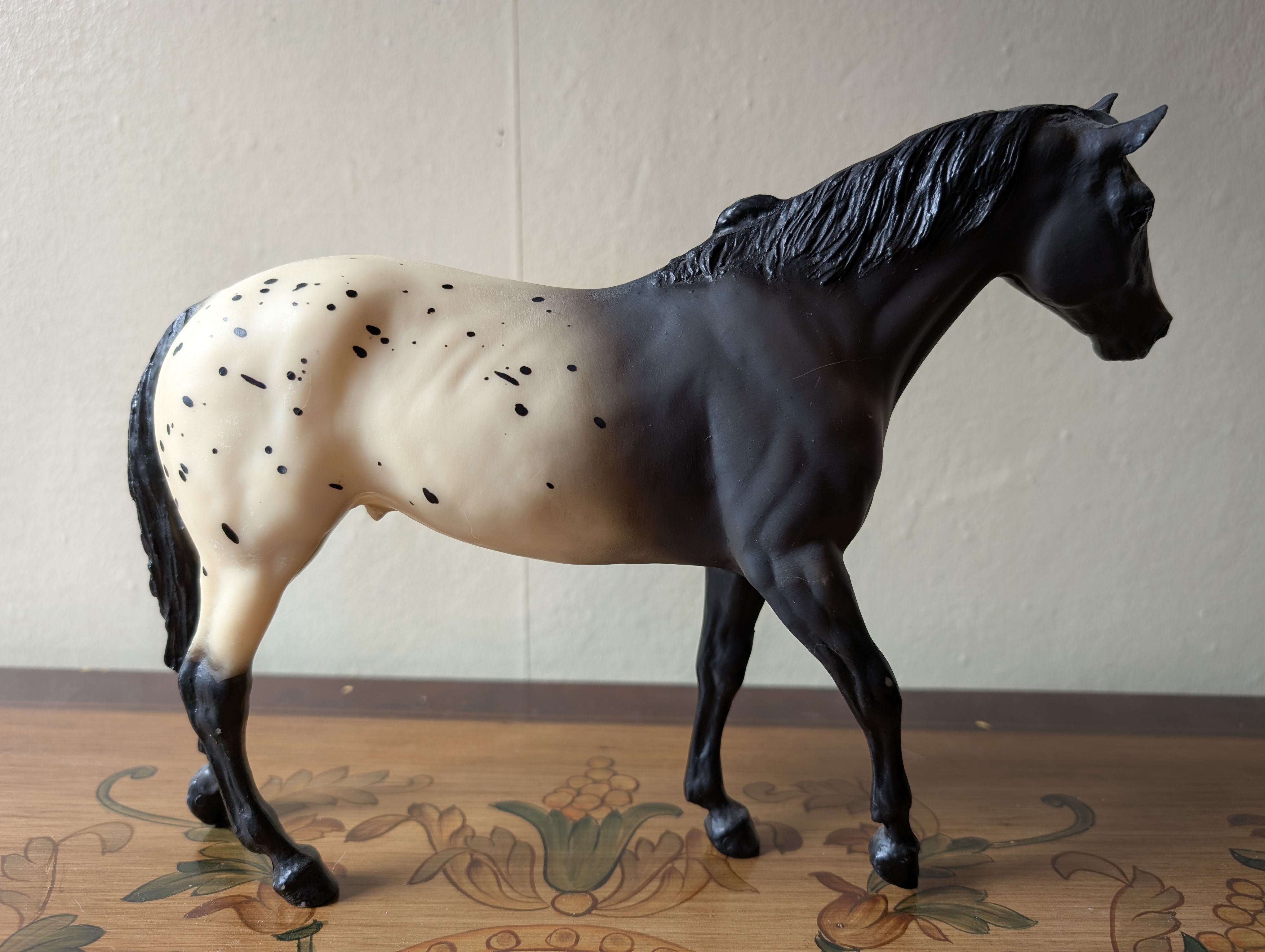 Blanket Appaloosa