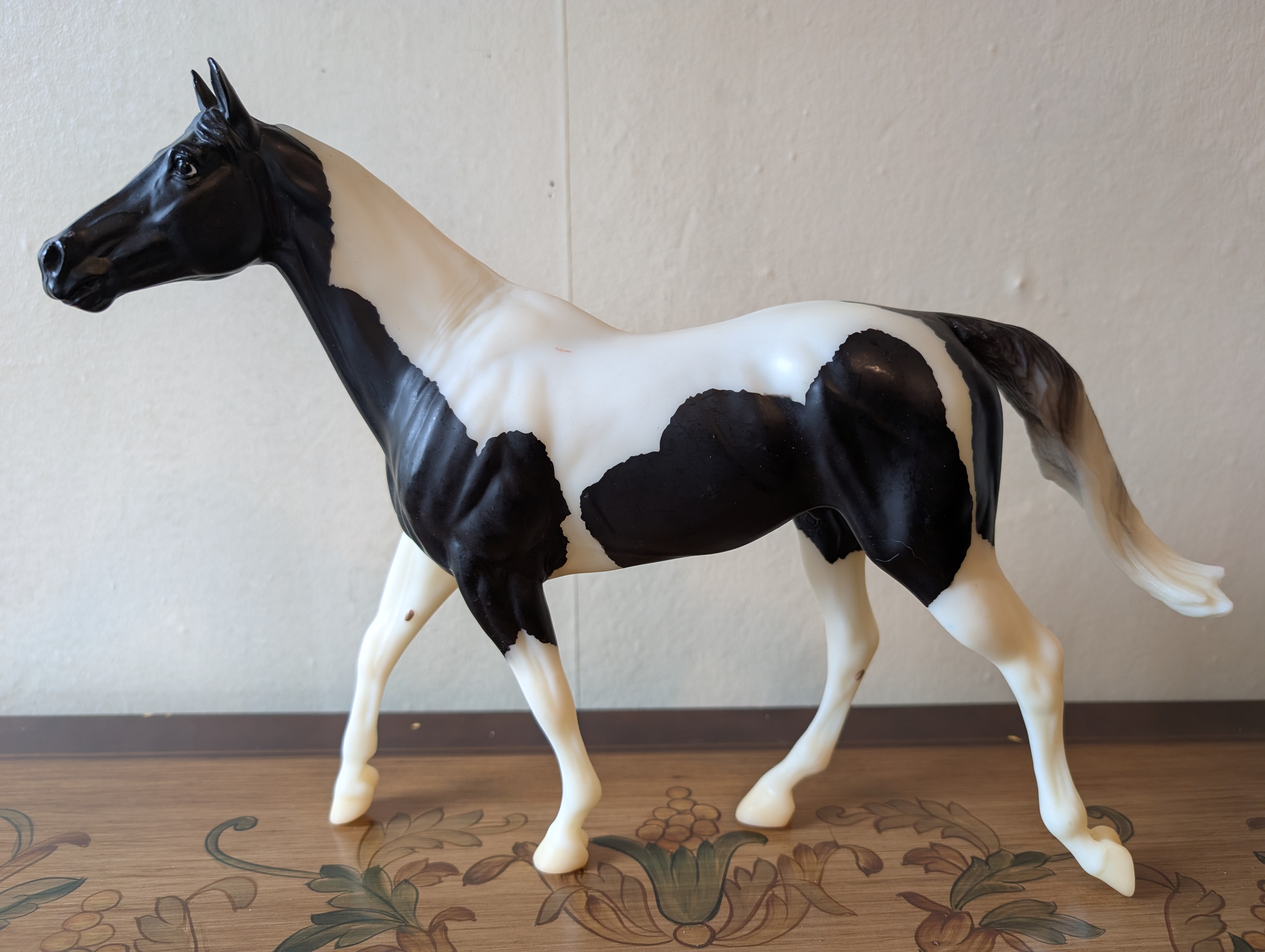 Travis - Pinto Sport Horse