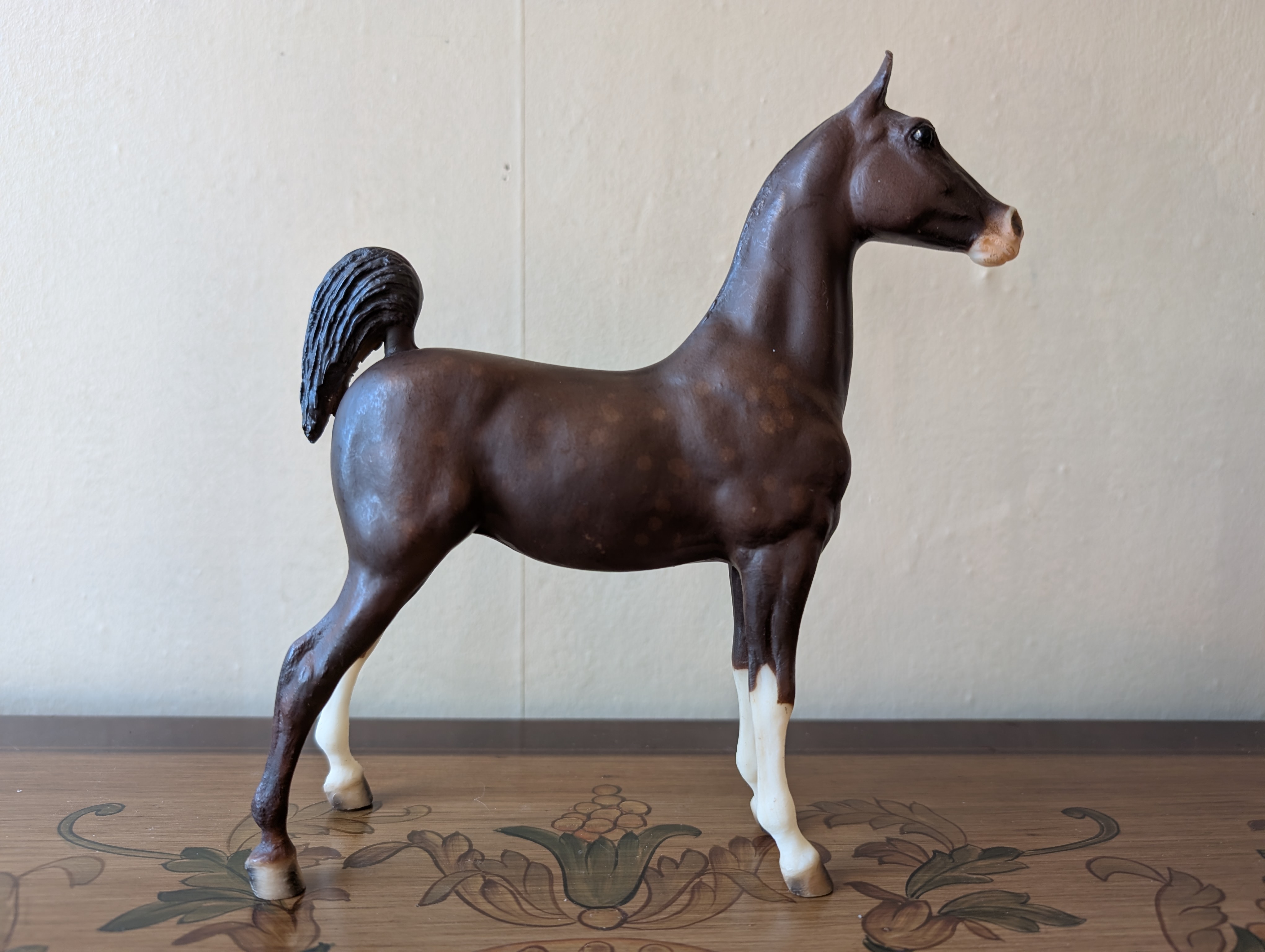 Kentuckiana Saddlebred Weanling