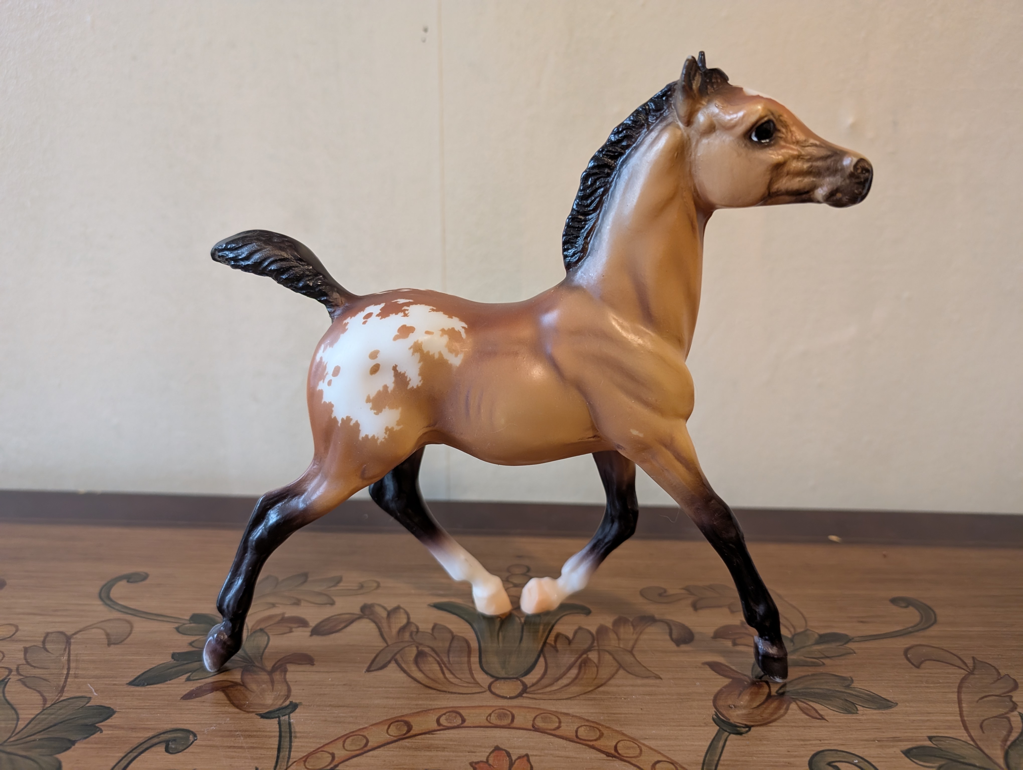 Milo Buckskin Appaloosa