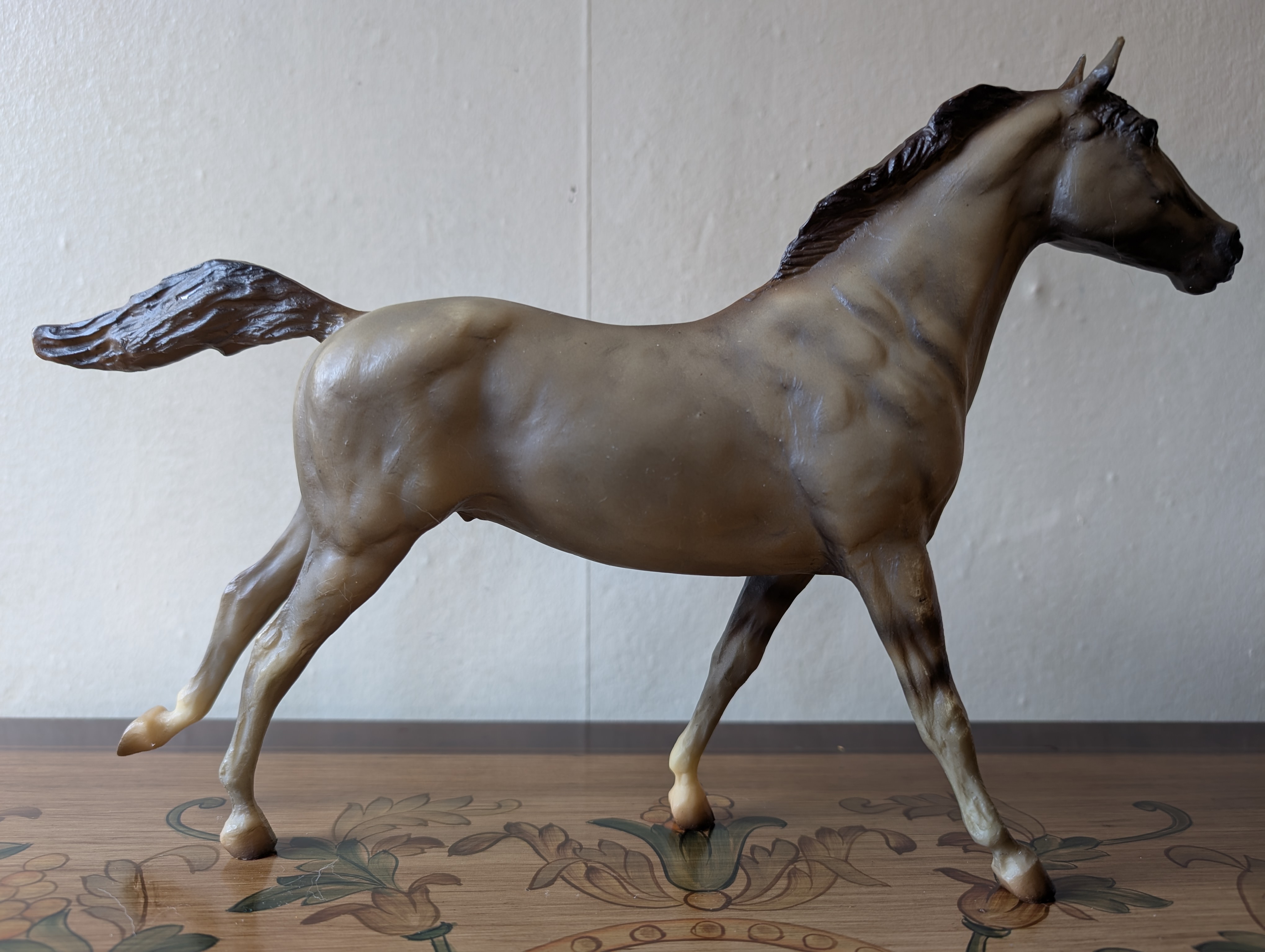 Wild American Horse