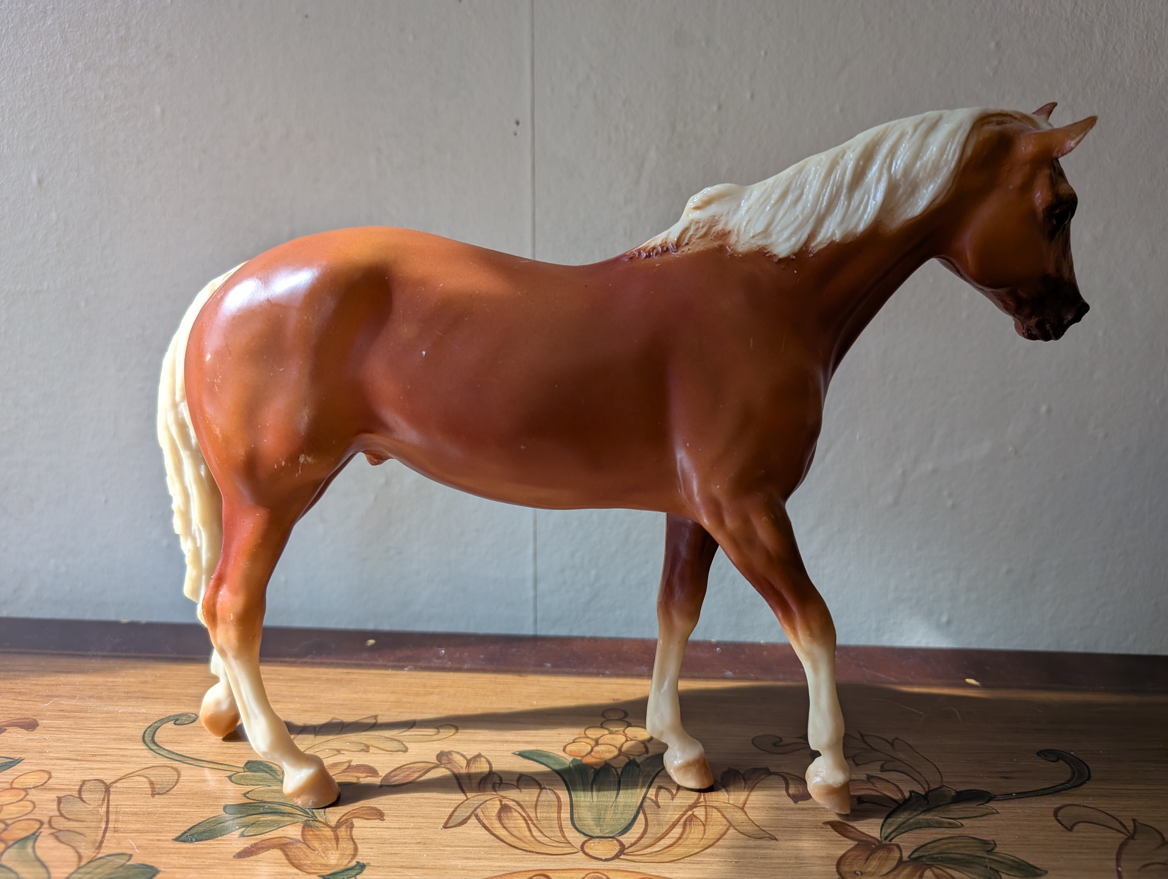 Comanche Pony