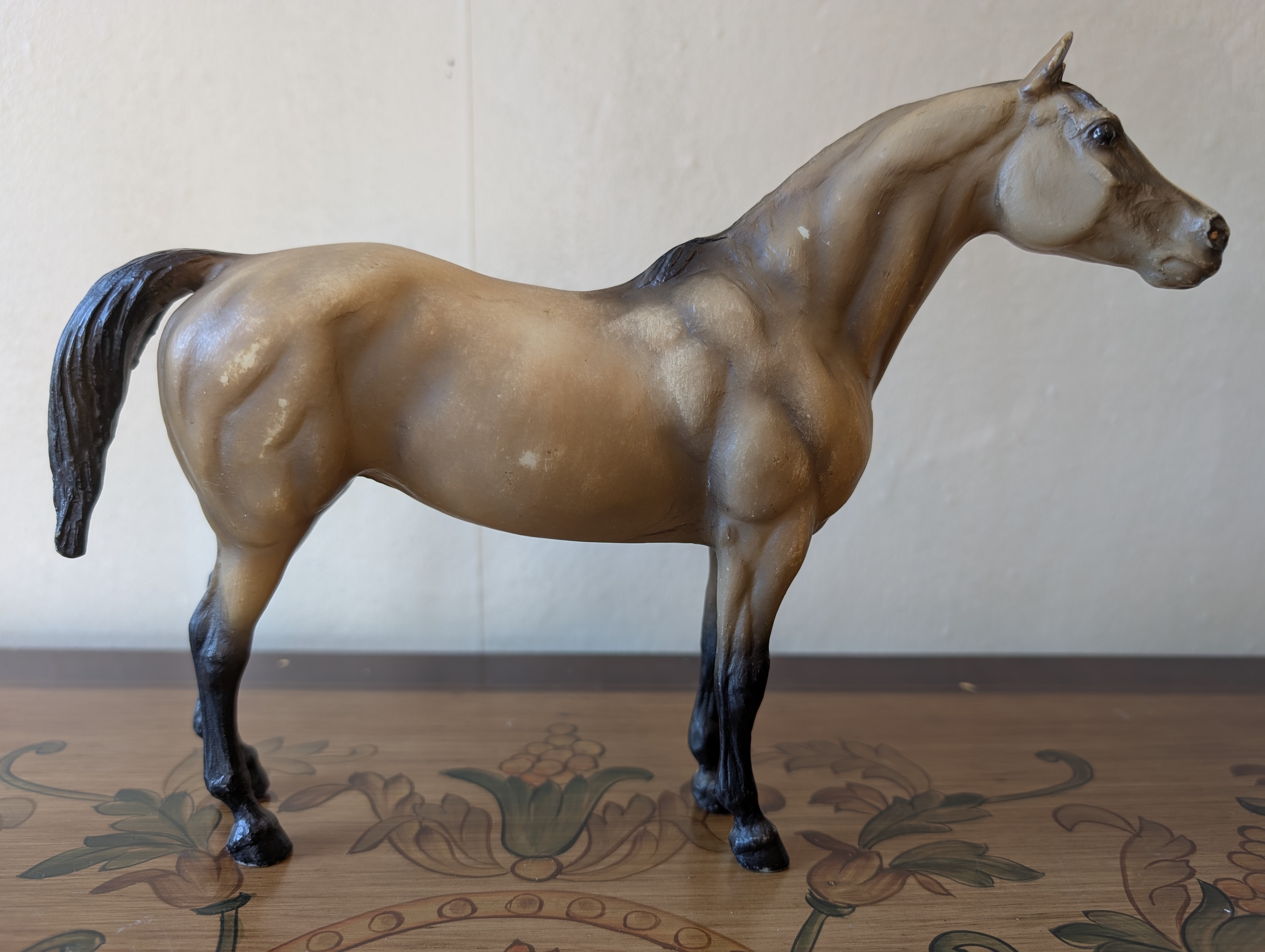 Rocky, Champion Connemara Stallion