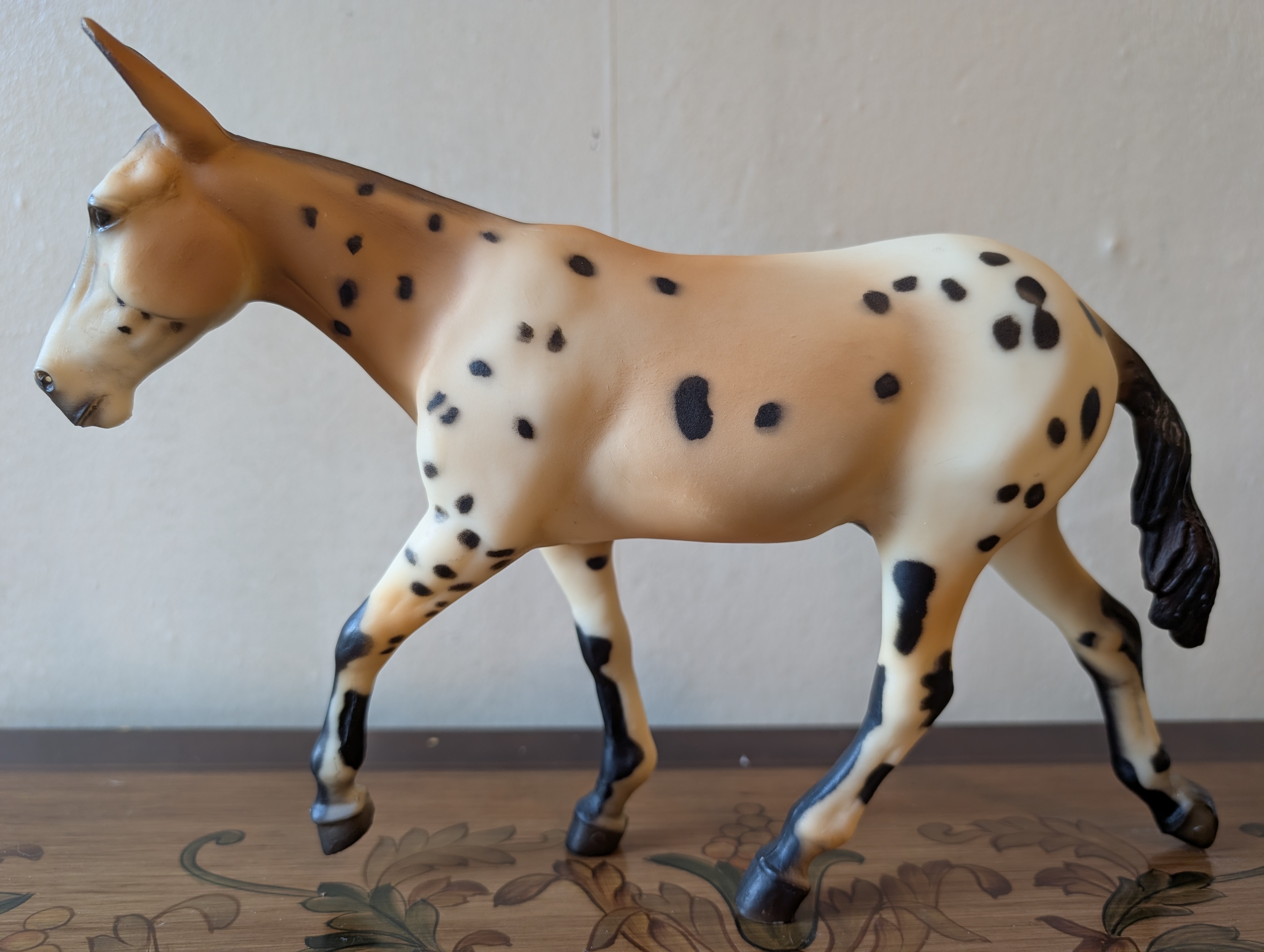 Spotted Mule